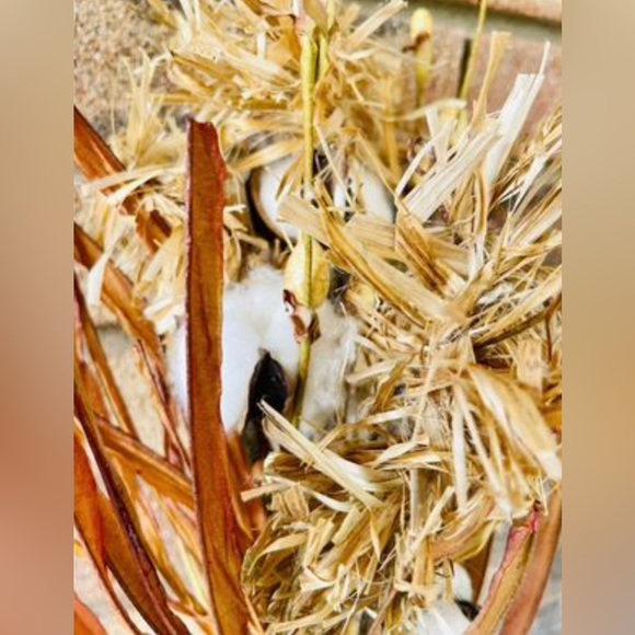 *Cotton & Fall Grass Branch, 28” - Picture 10 of 10